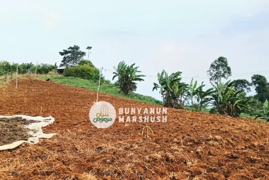 pesantren agro
